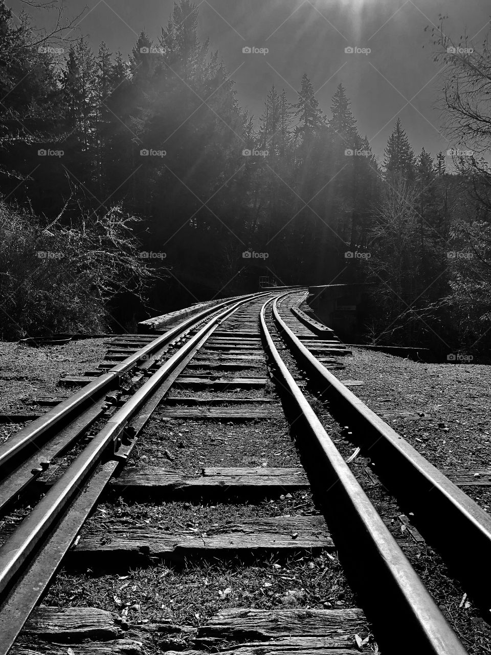 Life is an adventure, dare it 