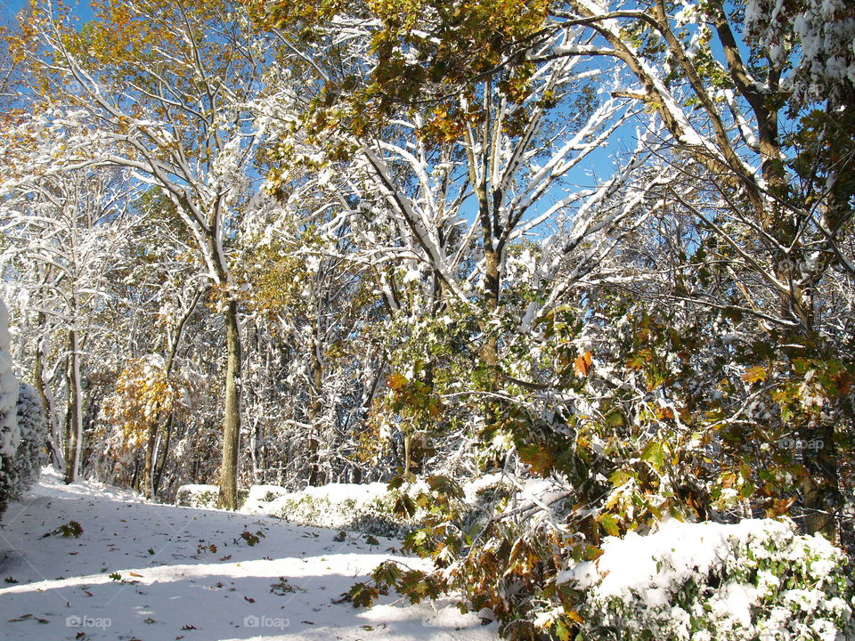 First snow 