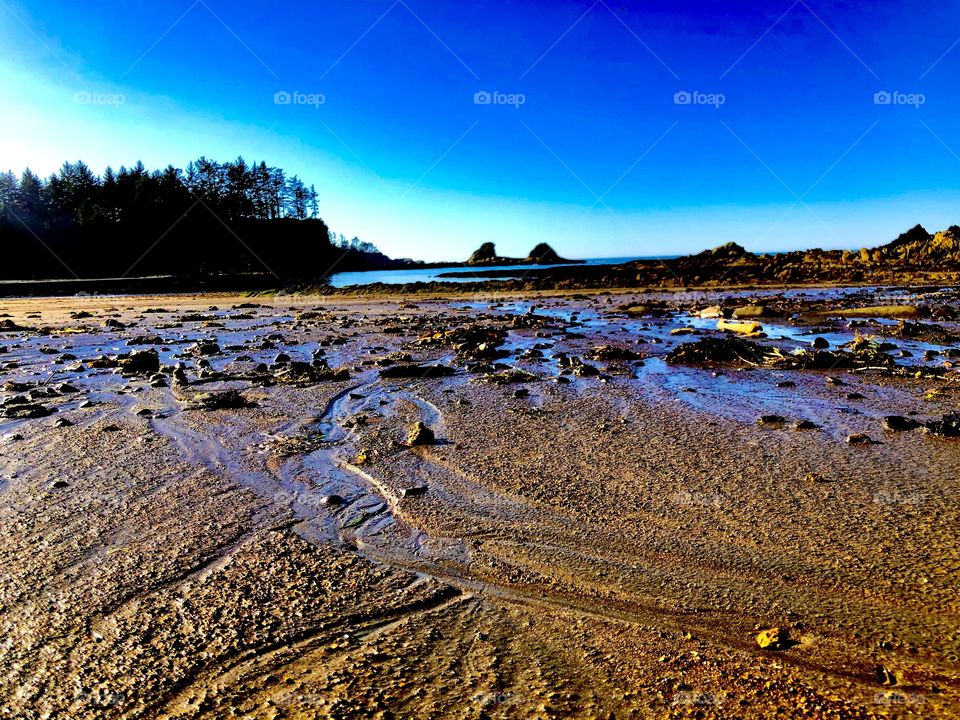 Oregon Beach 
