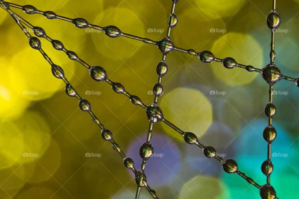 Water drops with bokeh 