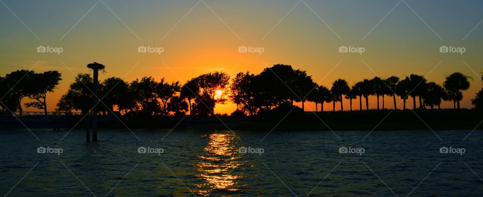 Silhouette of trees and lake at sunset