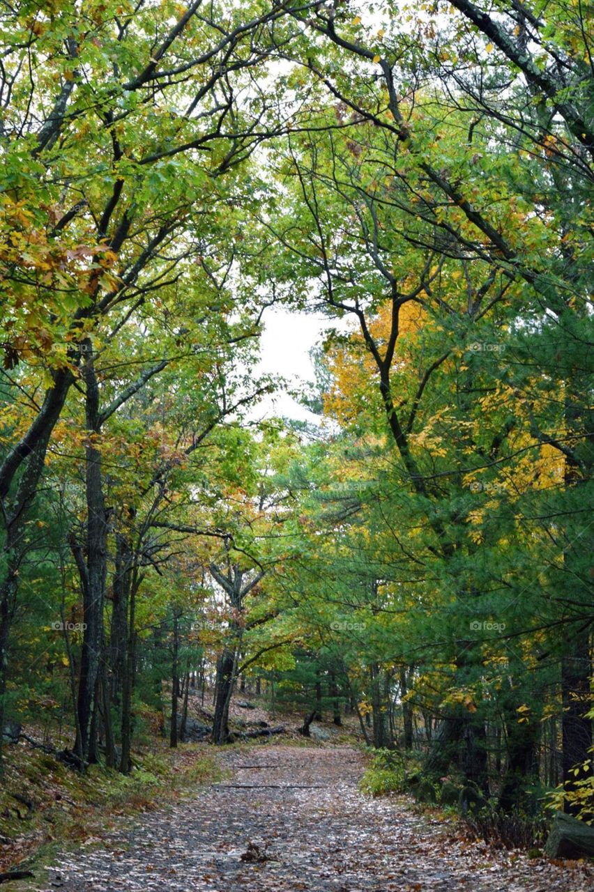autumn hiking trail