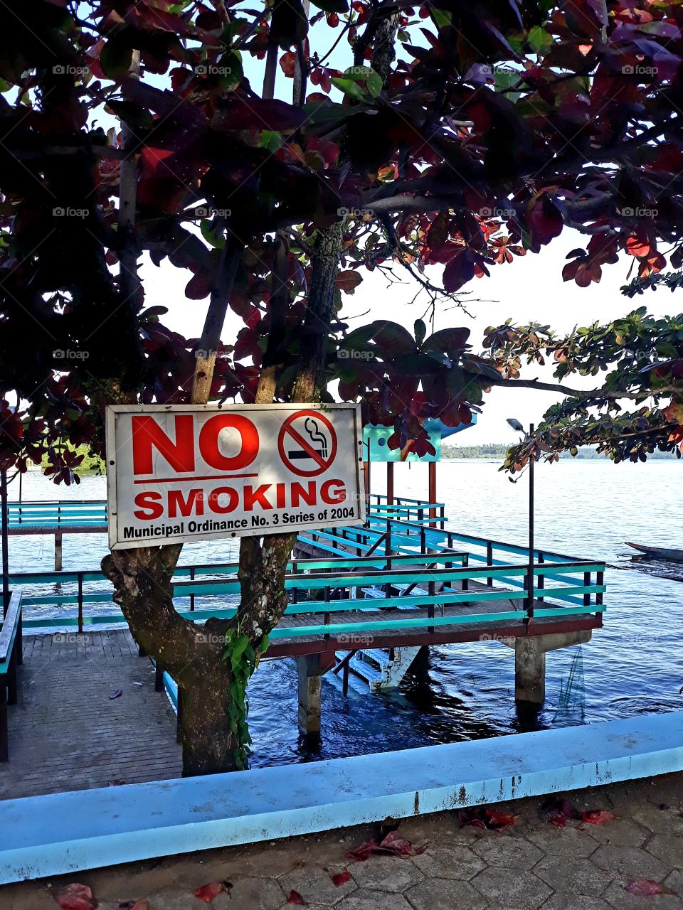 No Smoking sign at the Baypark in Bayabas, Surigao del Sur Philippines