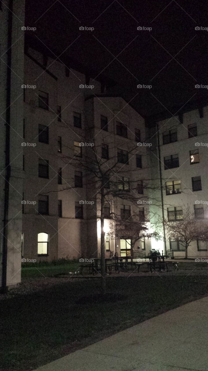 Dorms By Night