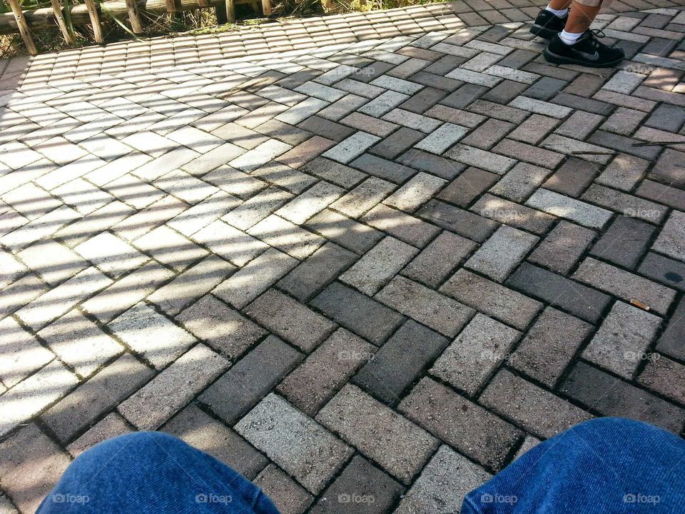 Zoo Brick Path