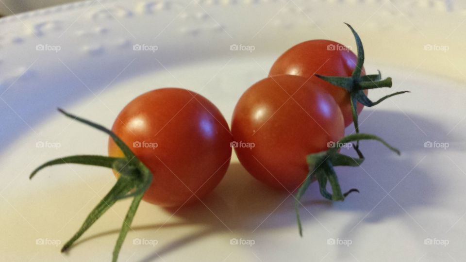 tiny tomato harvest