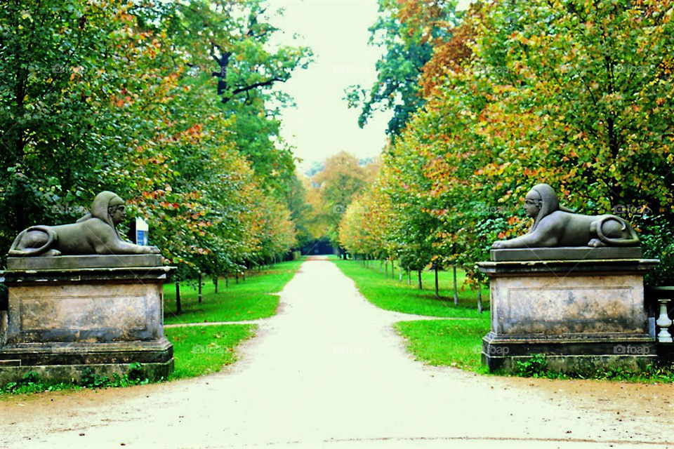 Park in Dessau Germany