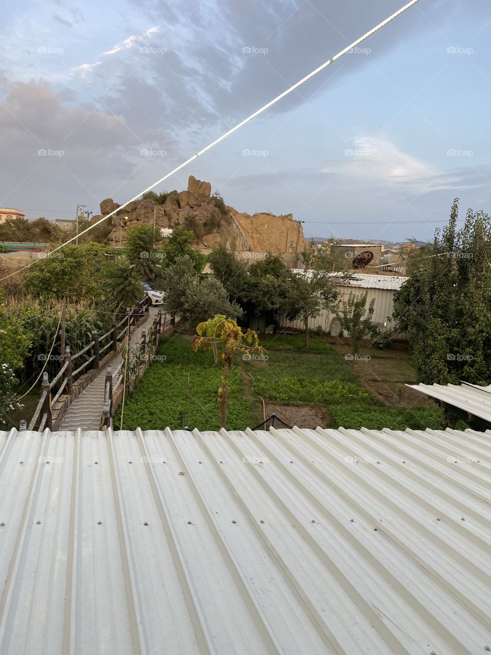 Amazing farm in city albah,the view from a window fantastic 