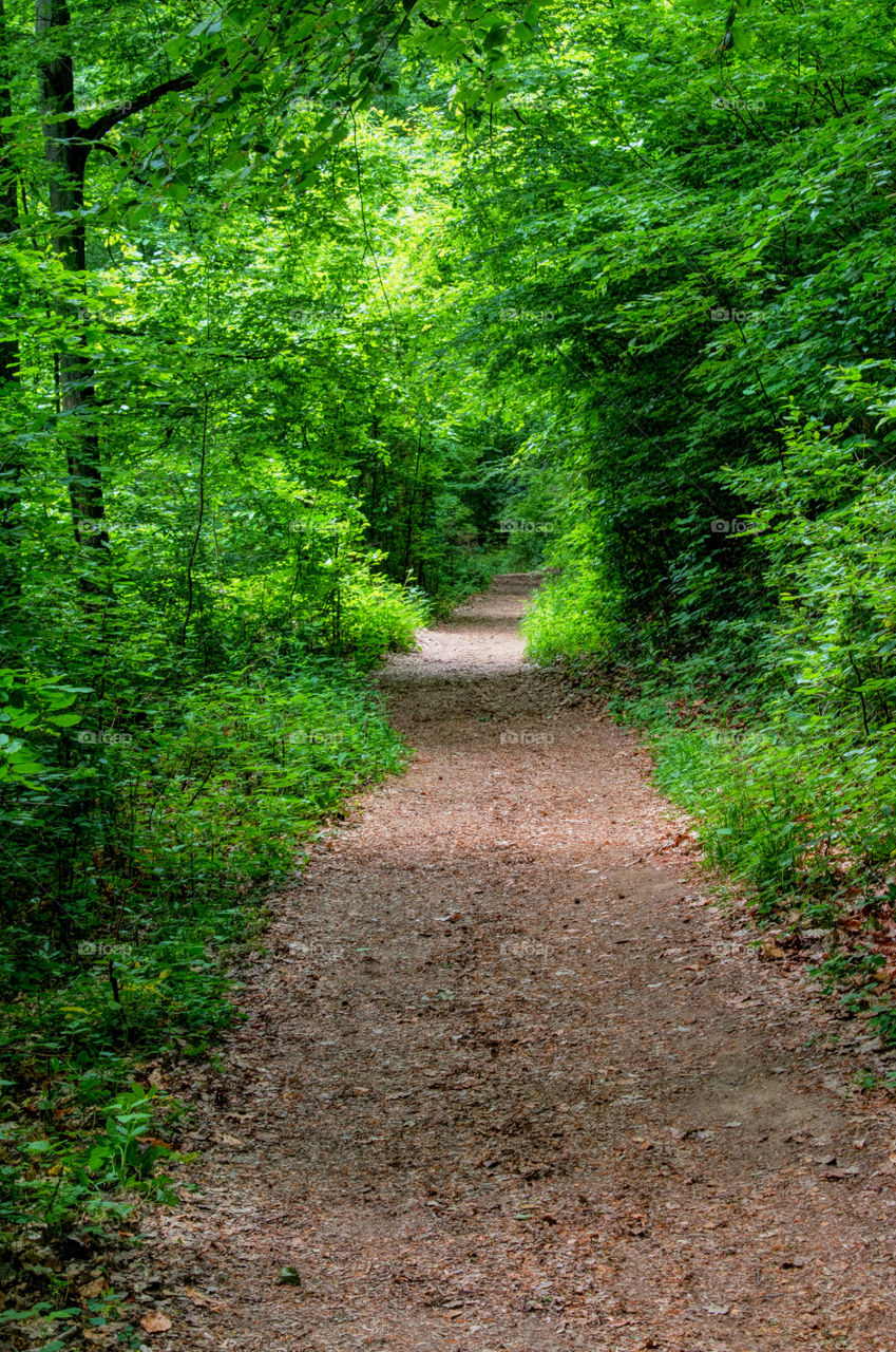 Hiking in germany 