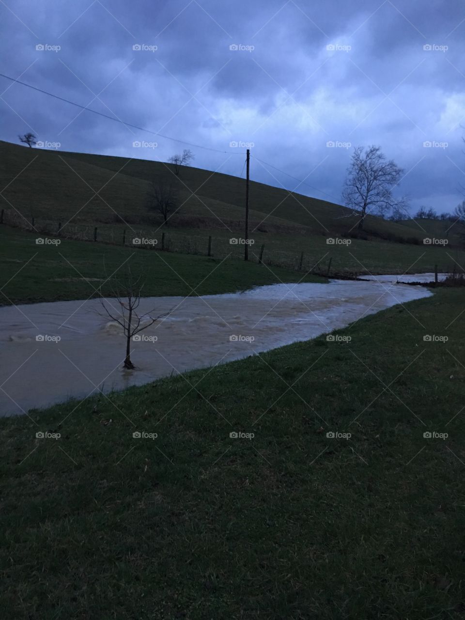 High Water in field