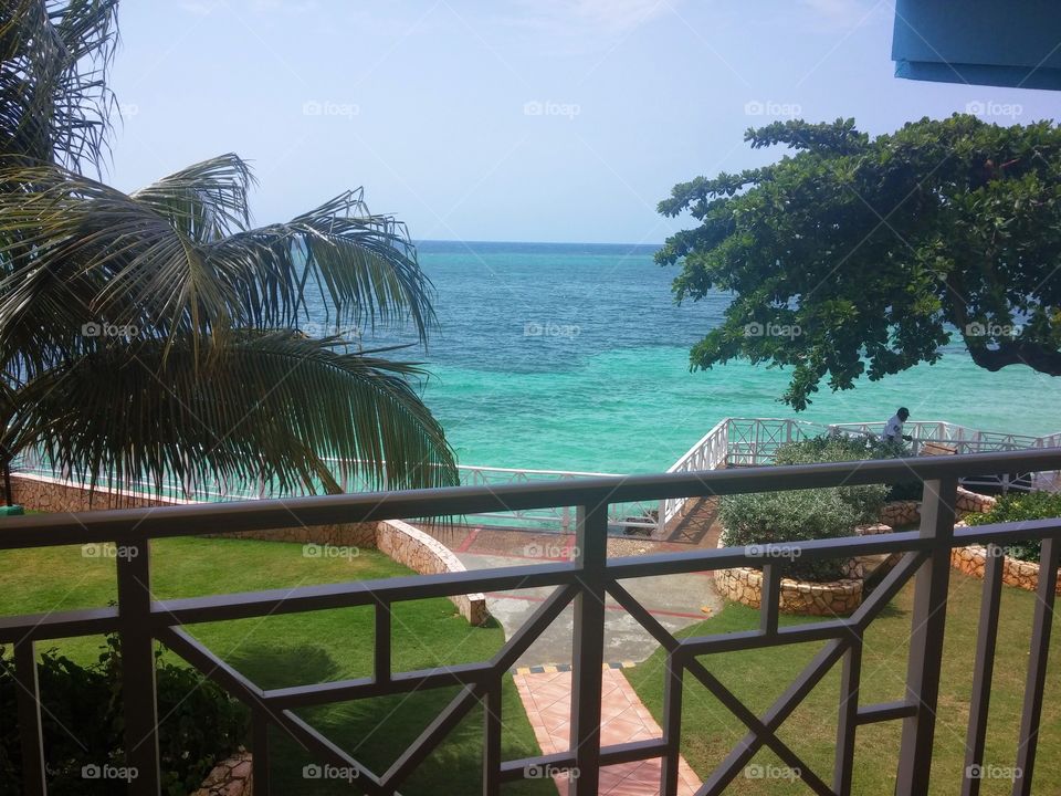 Scenic View. View from our room in Jamaica