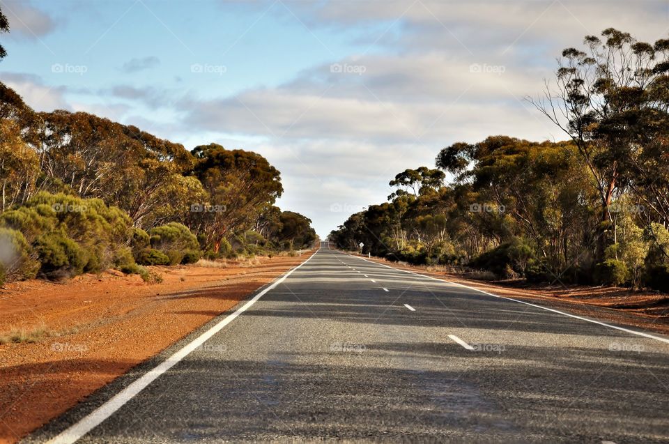 Nullarbor Australia 