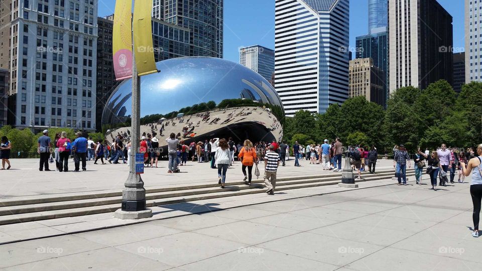 The Bean