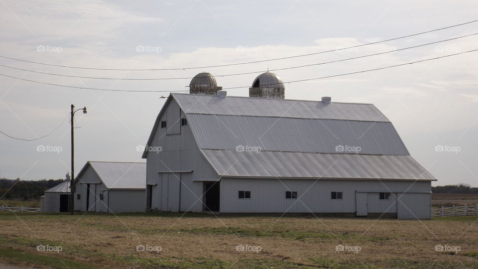Dairy barn