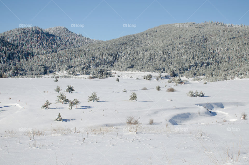 Winter landscape, Rhodope Mountains, Bulgaria