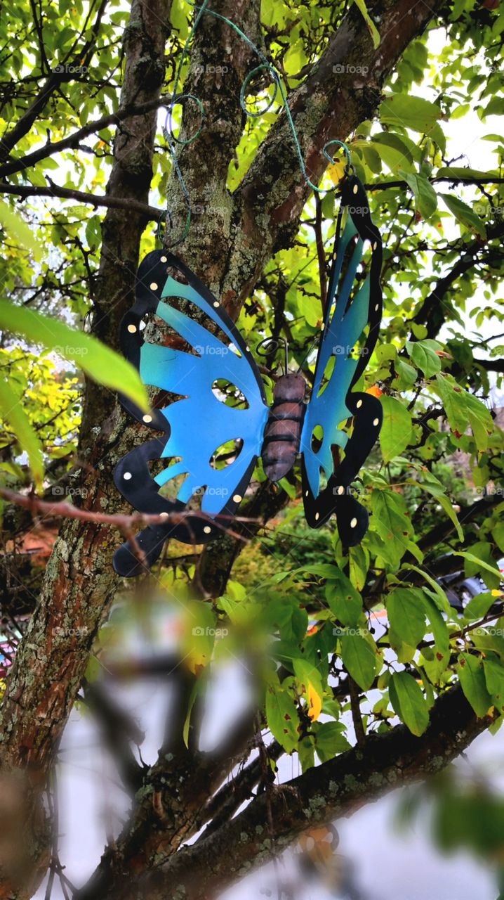 Metal Butterfly on tree