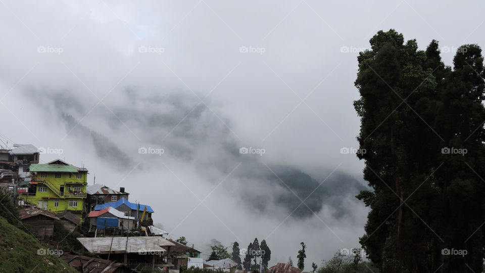 Foggy morning at Lava, Sikkim, India