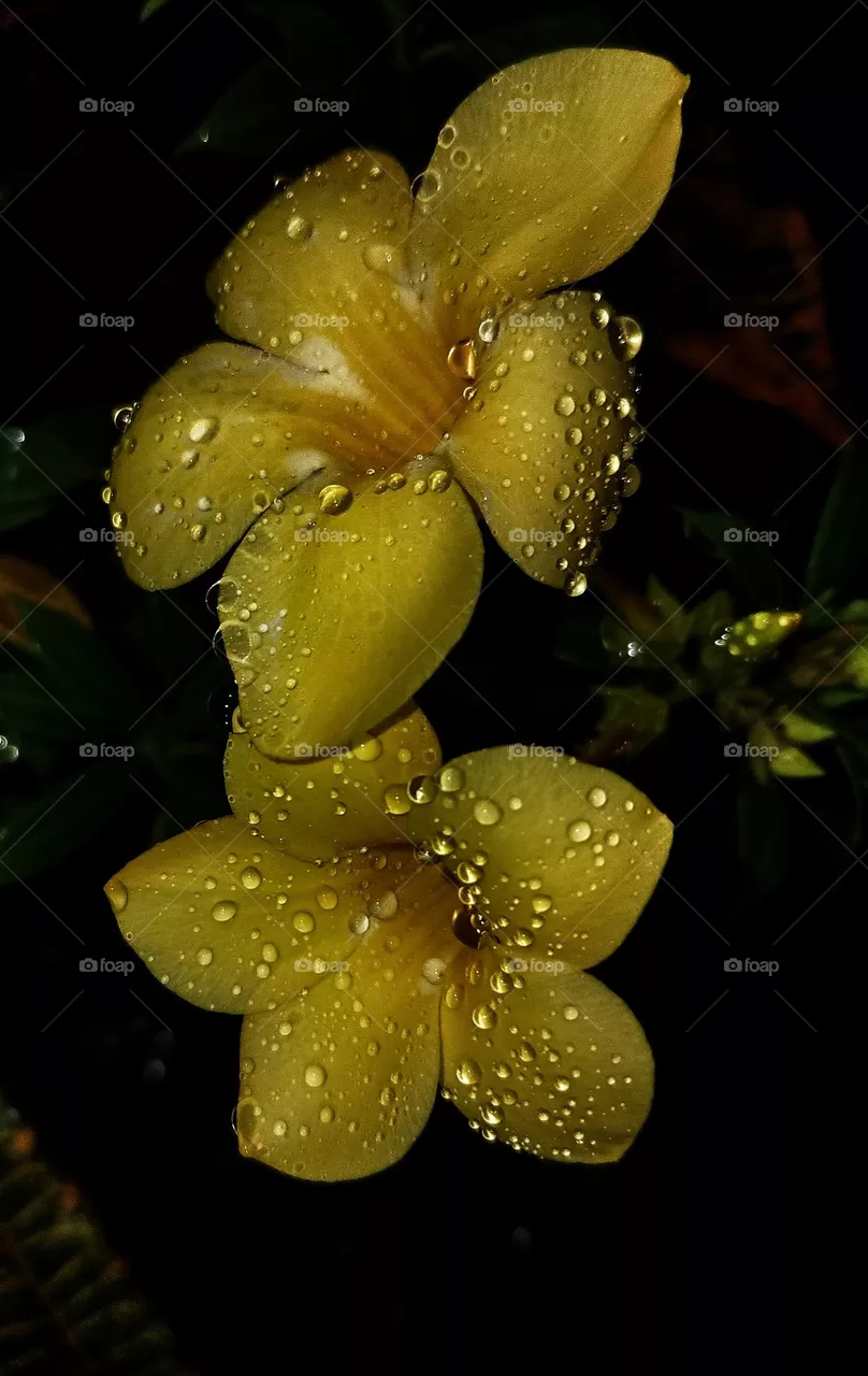 rainy night