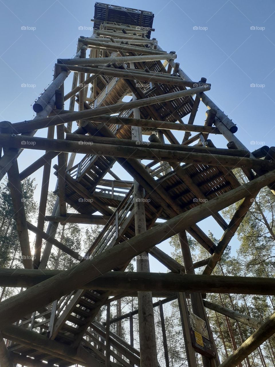 Путь наверх