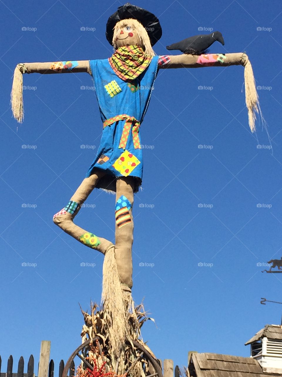 This scarecrow will keep the crows away on a beautiful blue sky autumn day.