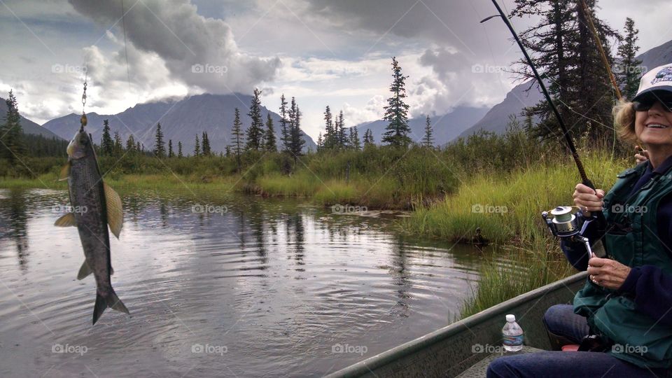 Catching Graylings in the wilds of the Wrangells