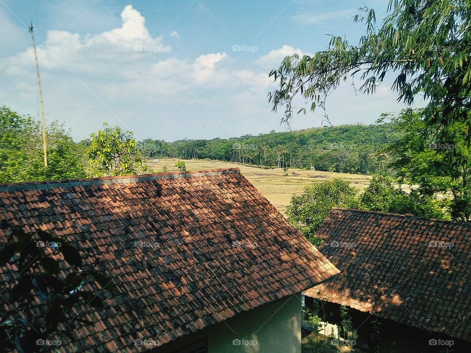 Beautiful view over the highlands