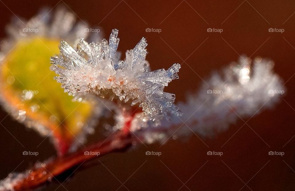 ice is crystals kristaller by cekari