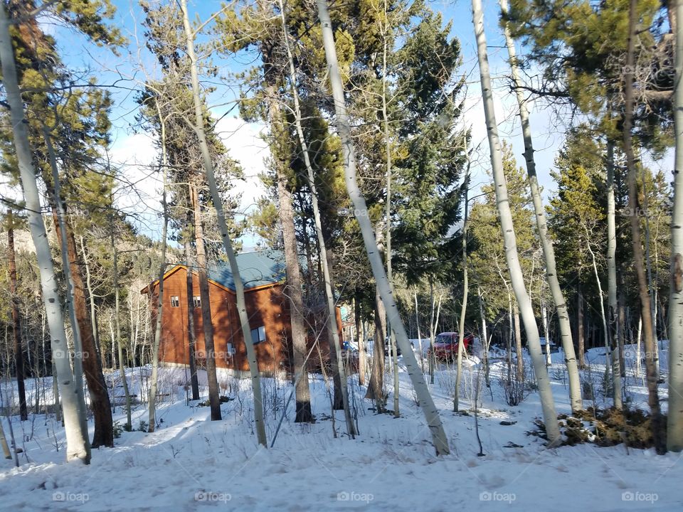 Snow Covered with landscape