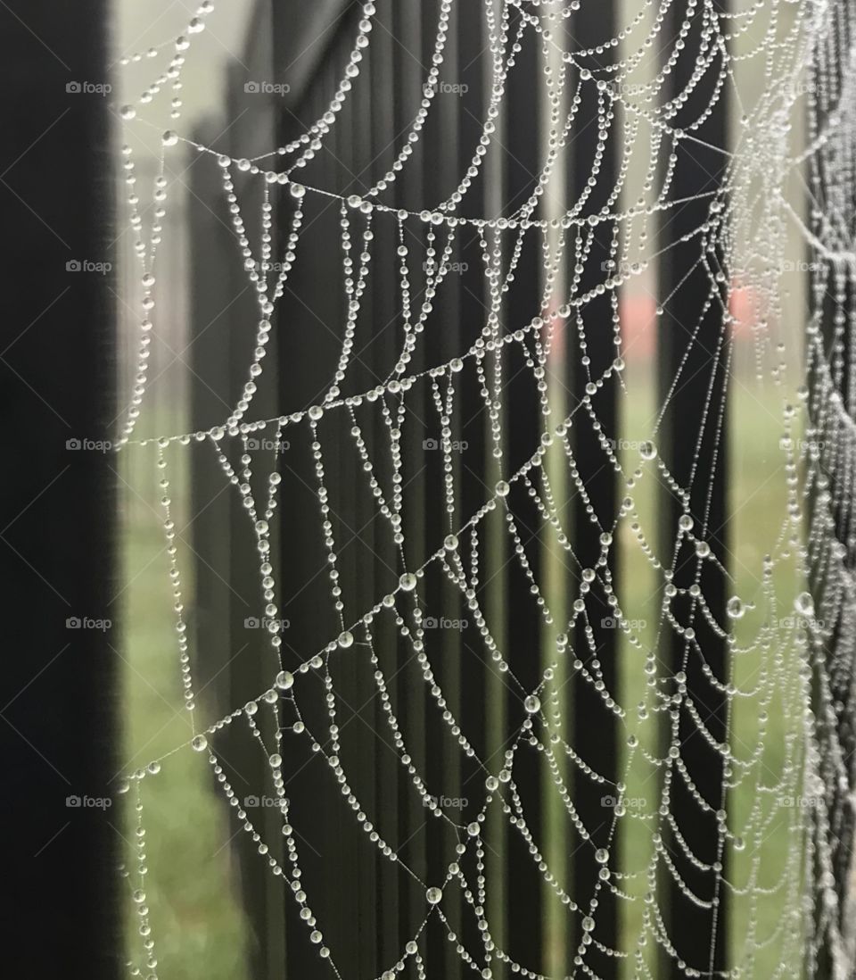 Shapes, squares and rectangles, spiderweb on black fence