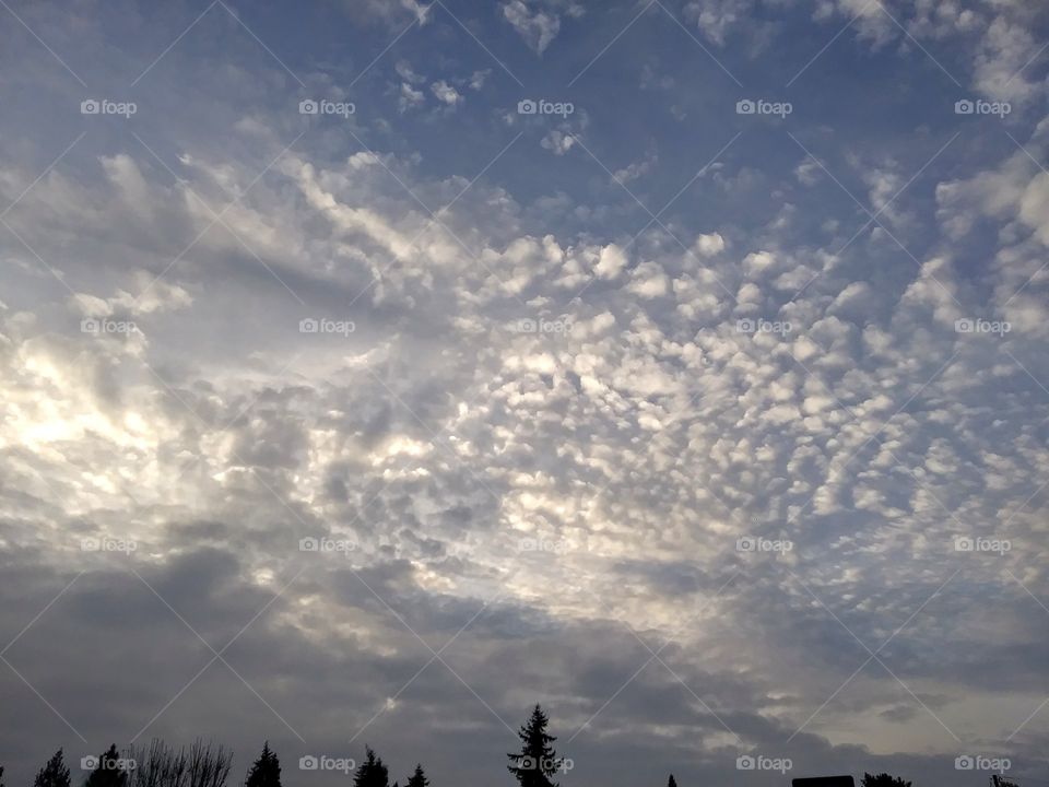 pattern in the clouds