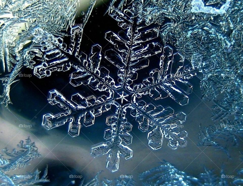 Зимняя красота