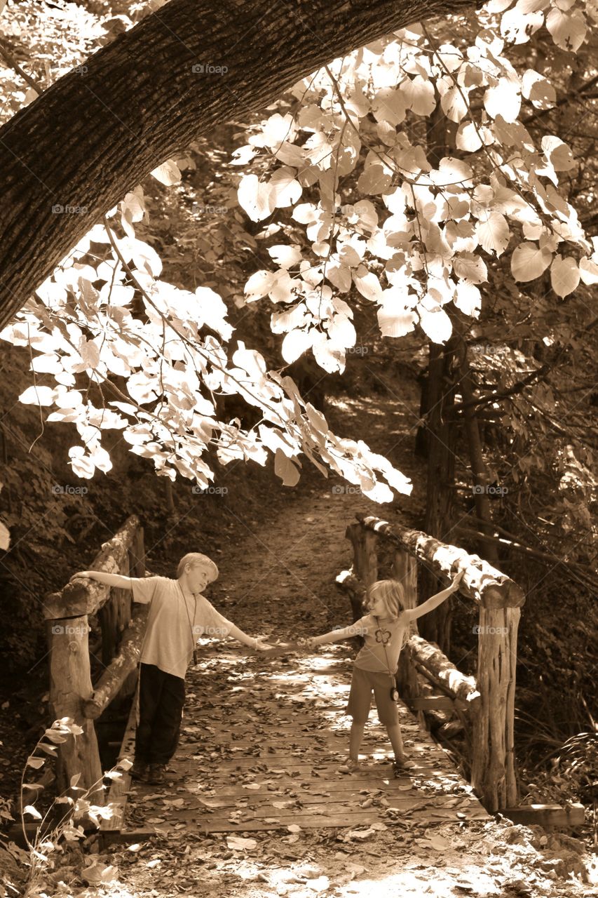 Darling photo of two children standing on bridge under gorgeous tree reaching for each other’s hands! 