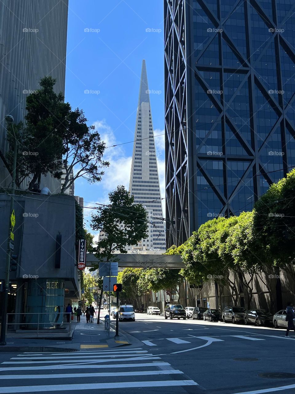 View of the Transamerica Pyramid from Clay Street in San Francisco California 