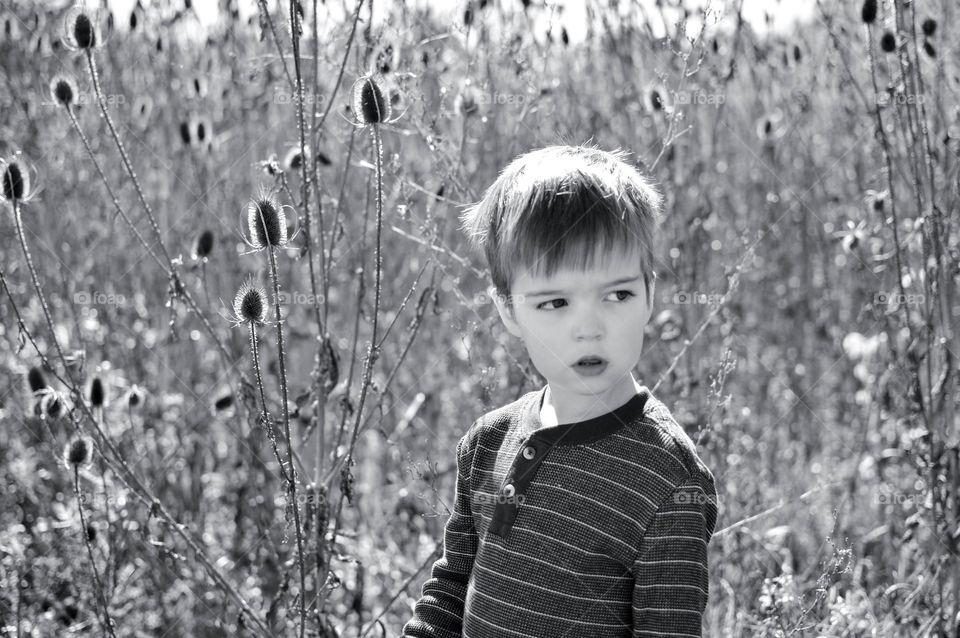 Black and white image of a young toddler boy standing in a tall field outdoors in the fall