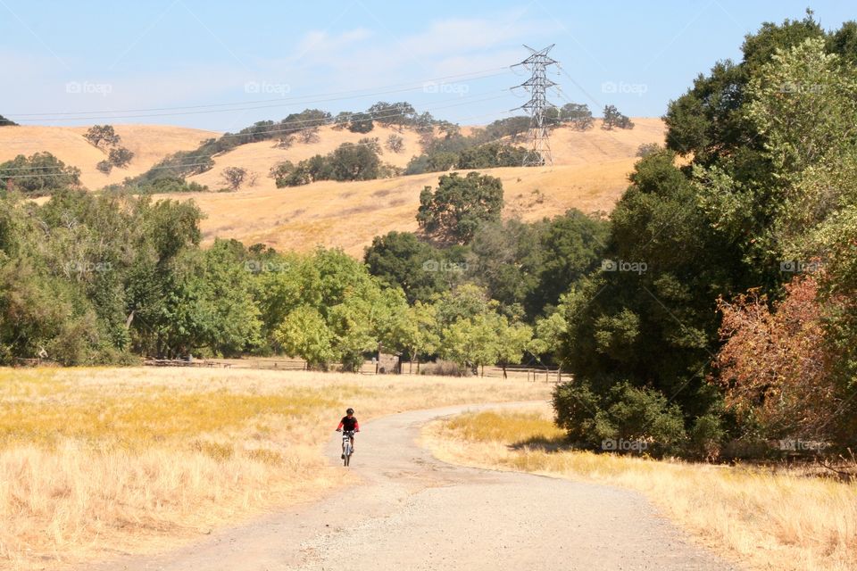 Bicyclist in the park 