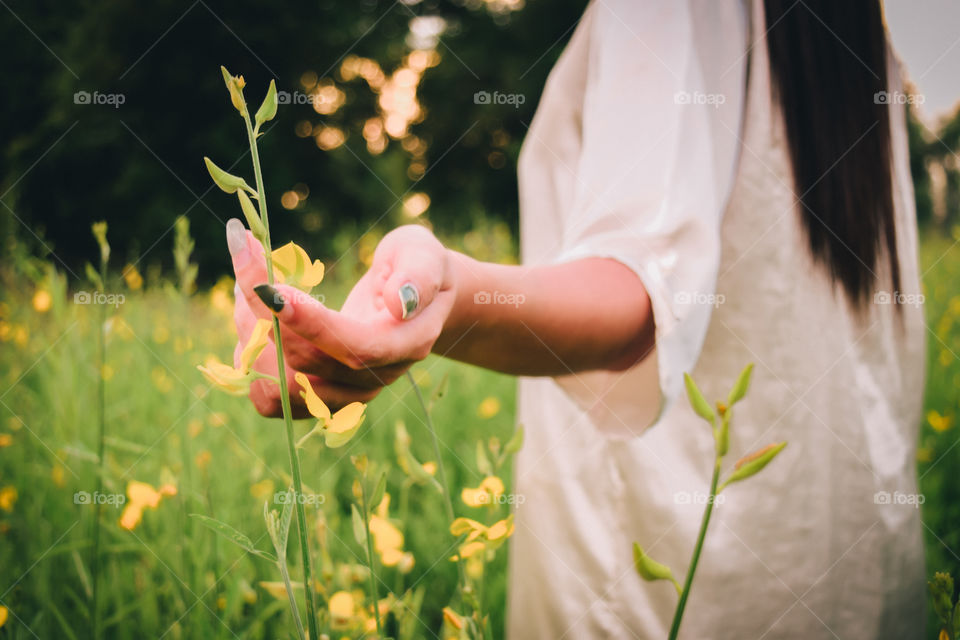 Among the flower fields
