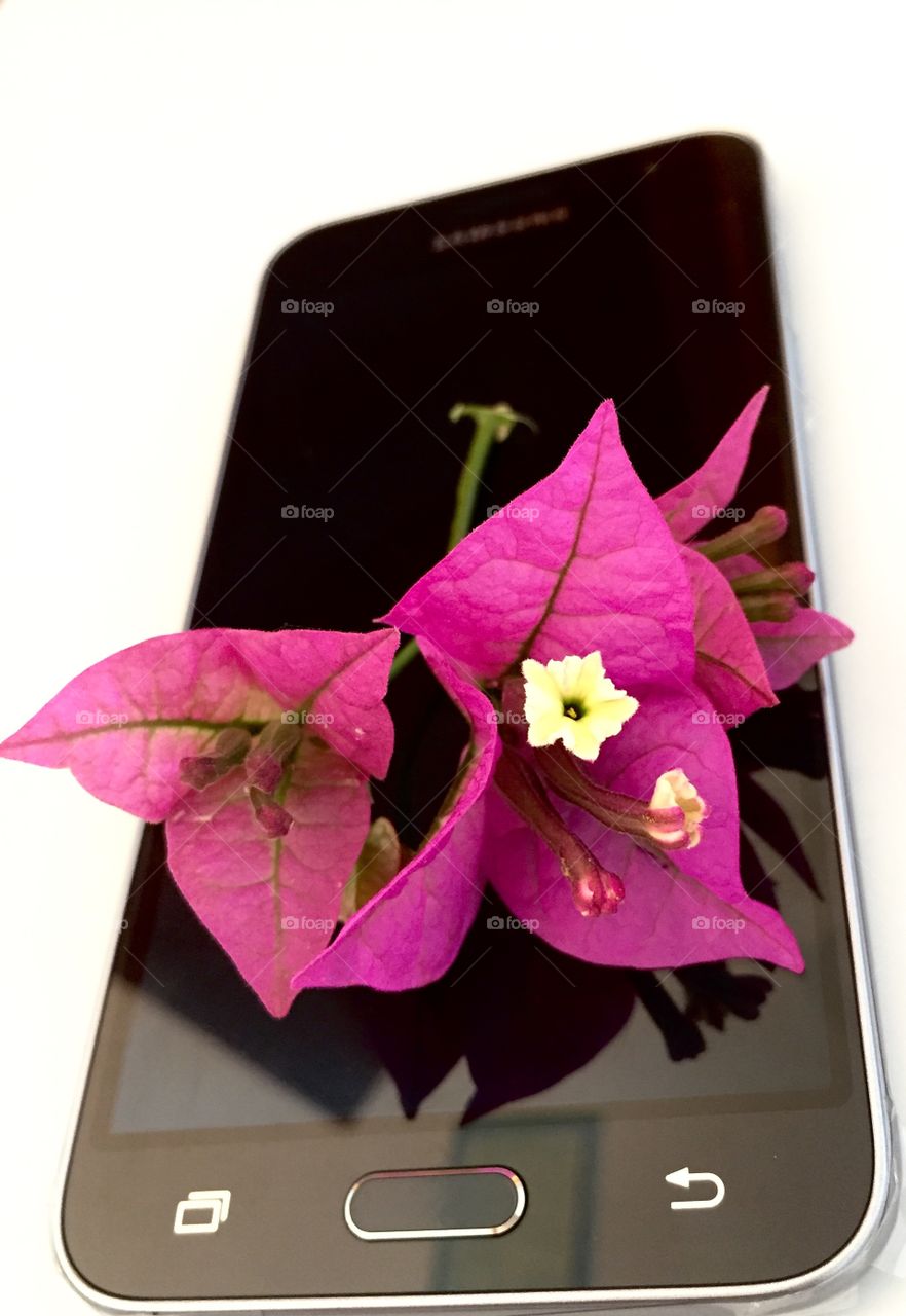 Flower and samsung