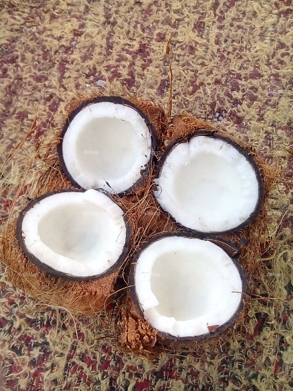 exotic fruit - coconut on the ground