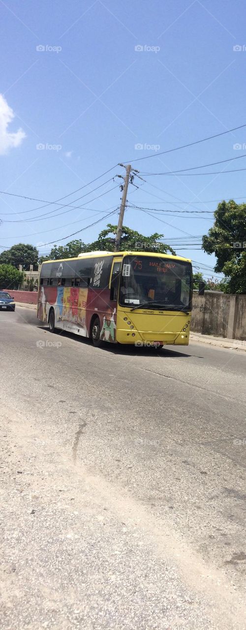 Public Transportation 