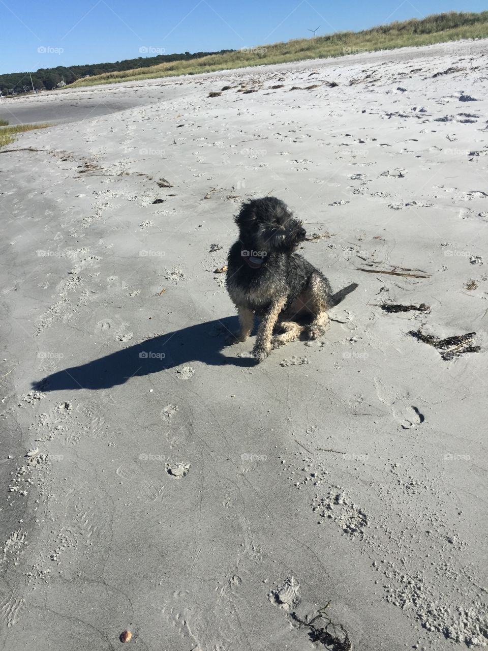 Busy day at the beach 