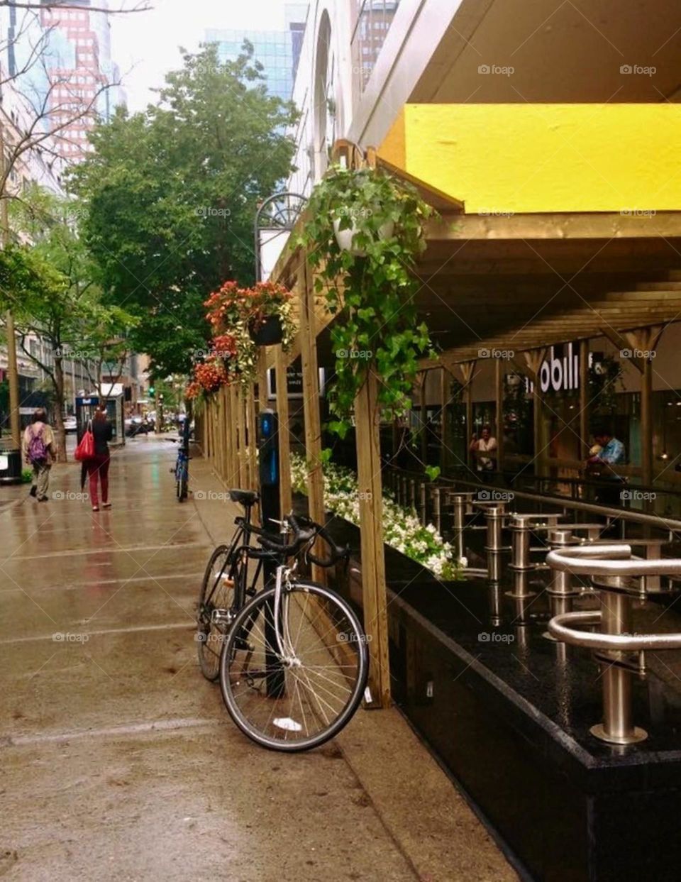 beautiful flower pots in street 