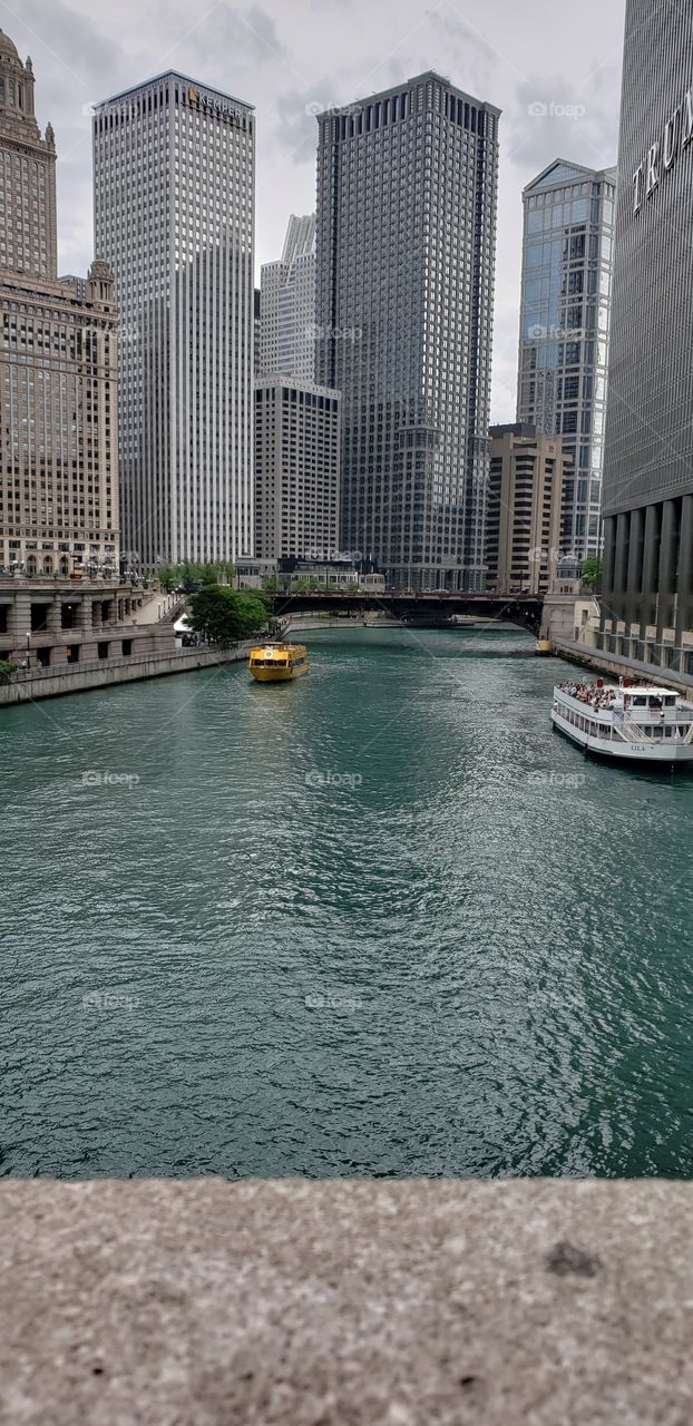 The Chicago River