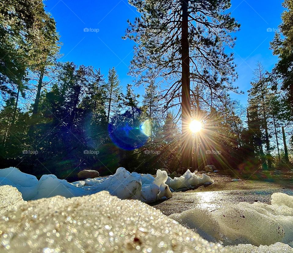 Sun rays melting snow 