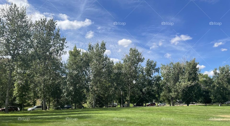 Beautiful sunshiny day