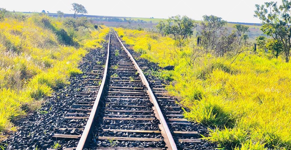 Como não amar Minas Gerais 