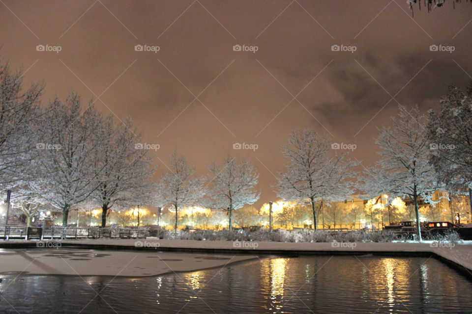 Night scenery with snow