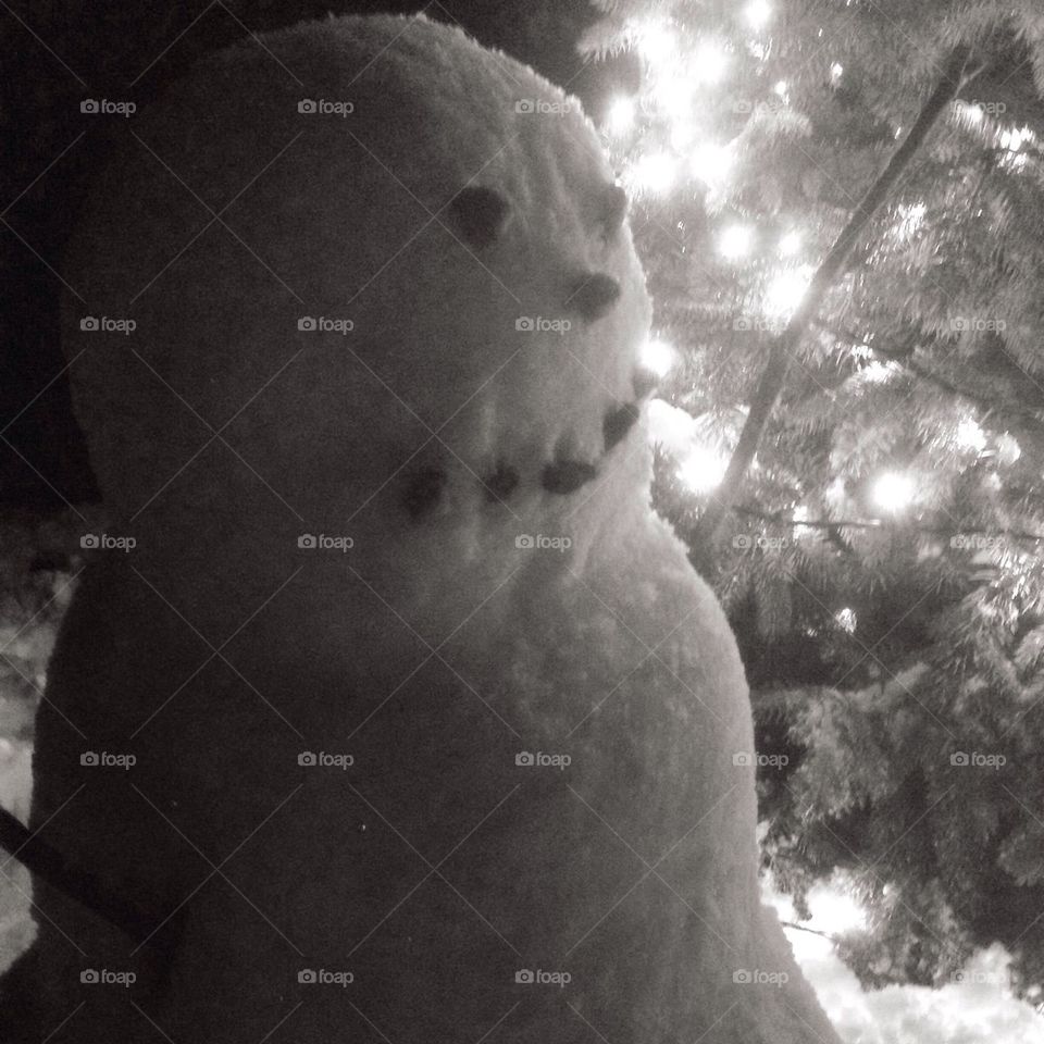 Night time Snowman