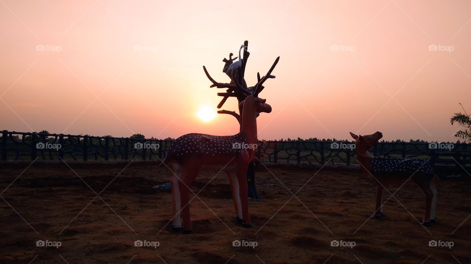 Beautiful evening scene