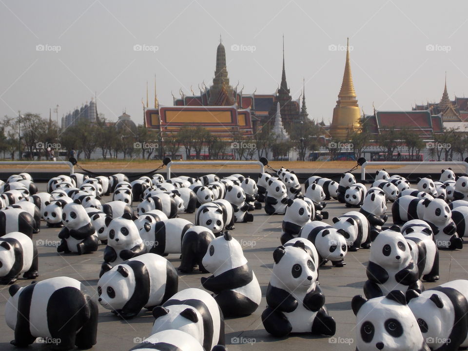 panda sculptures. panda sculptures in thailand