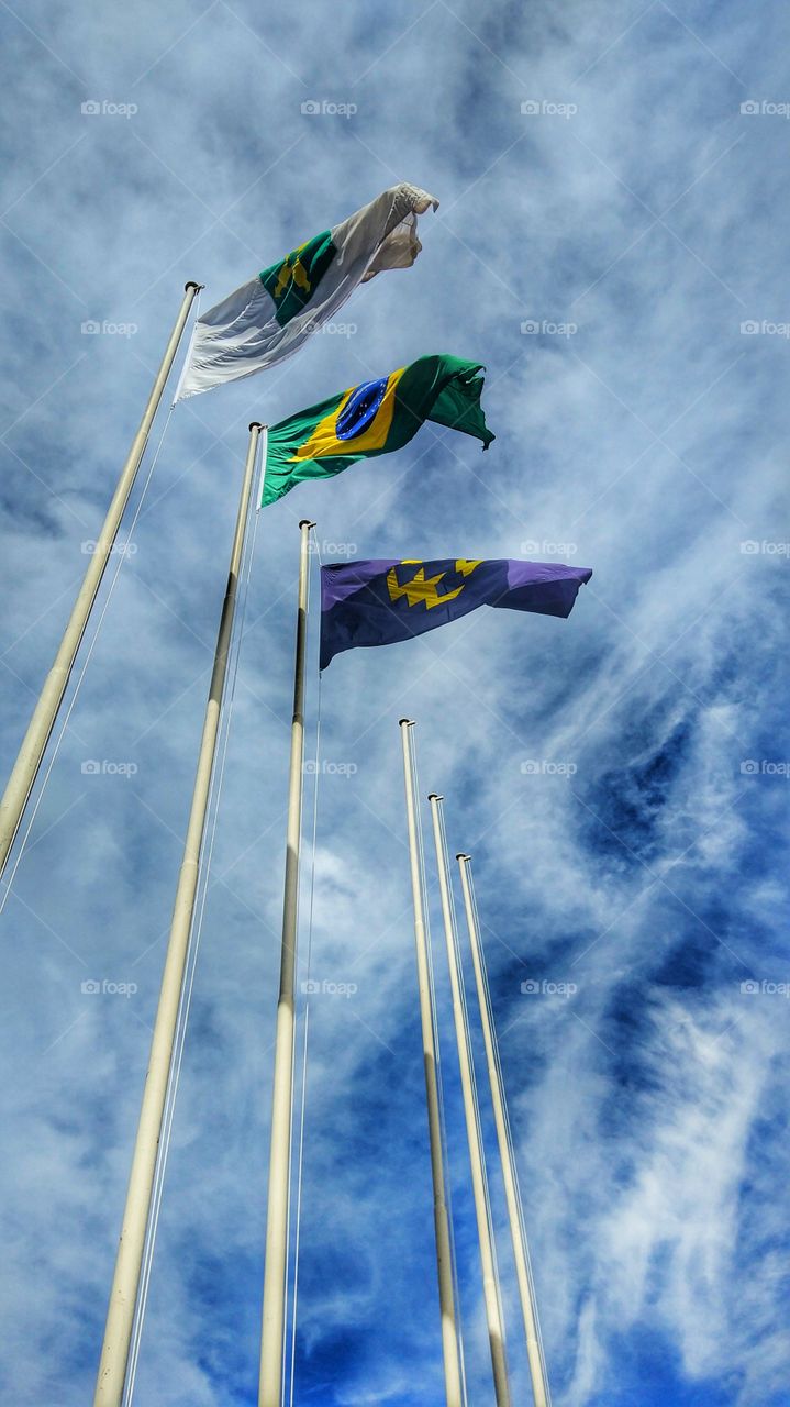 bandeiras